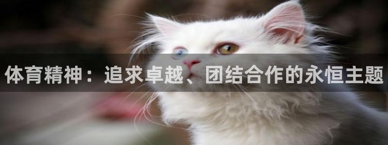 利记官网下载平台假的吗是真的吗:体育精神:追求卓越、团结合作