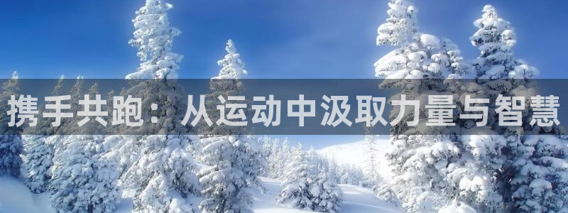利记官网下载招商电话号码:携手共跑:从运动中汲取力量与智慧