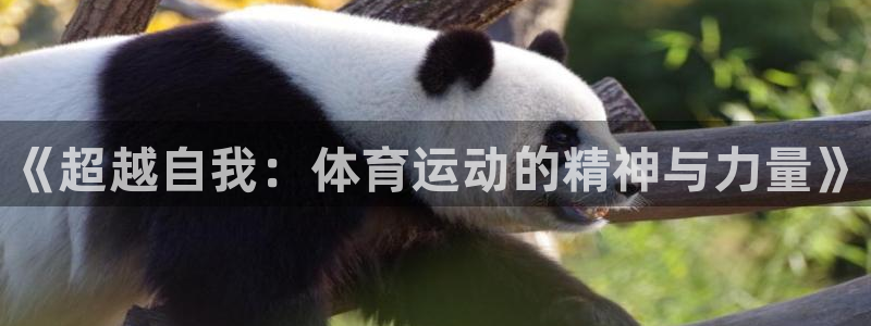 利记官方平台体育:《超越自我:体育运动的精神与力量》