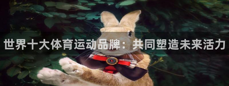 利记官方正版app集团E.ON:世界十大体育运动品牌:共同塑