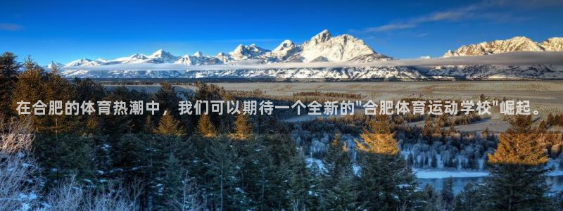 利记官网下载平台注册:在合肥的体育热潮中,我们可以期待一个全